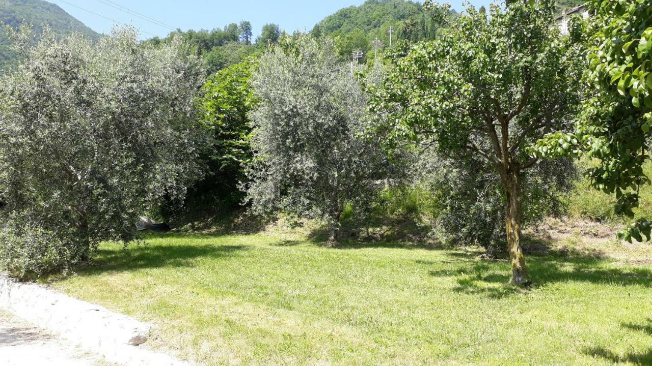 Casa Gina Garden And View By Gardadomusmea Villa Tremosine ภายนอก รูปภาพ